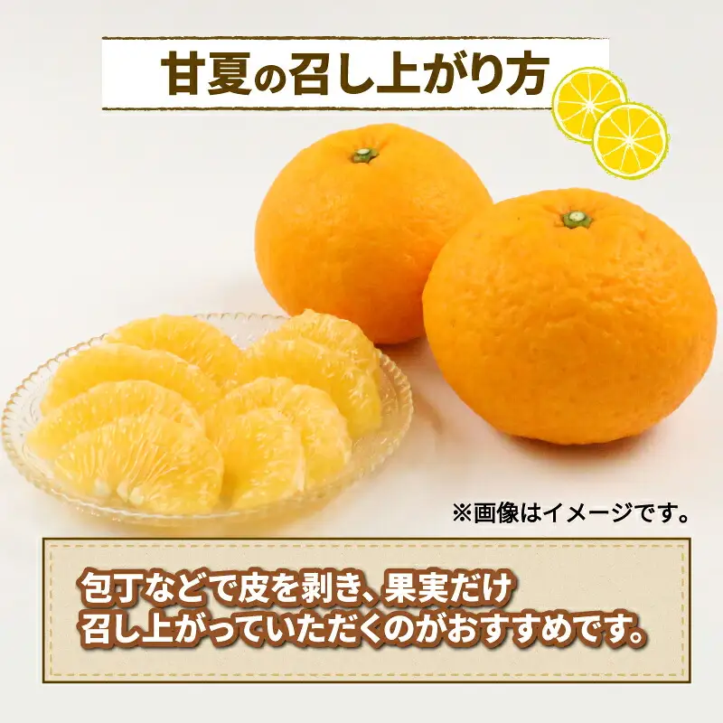 愛媛みかん 訳あり 甘夏 10kg ワールドファーマーズ 先行予約 わけあり 夏みかん 甘夏柑 あまなつ 愛媛ミカン 愛媛蜜柑 訳ありみかん 訳あり蜜柑 訳アリ 訳あり品 mikan 果物 くだもの フルーツ 柑橘 みかん 蜜柑 数量限定 産地直送 国産 愛媛 宇和島 B010-024025