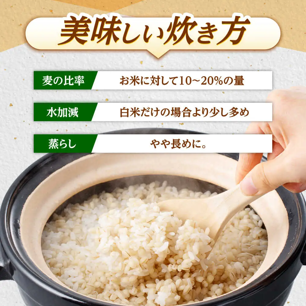 【12回定期便】押麦「長崎御島」 1kg×10袋 計10kg / 麦 むぎ 押麦 はだか麦 麦味噌 雑穀 雑穀米 食物繊維 小分け 長崎県産 米 こめ コメ ※ / 諫早市 / 有限会社伊東精麦 [AHBU012]