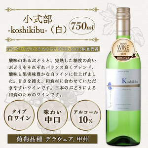 【丹波ワイン】 飲み比べ6本セット 赤ワイン 白ワイン