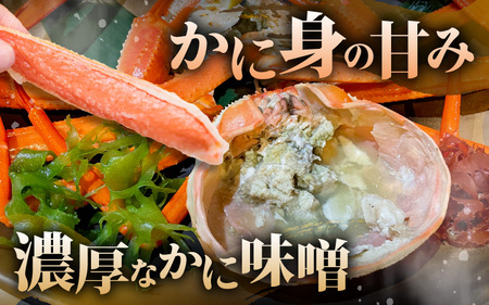 先行予約【冷蔵】越前がに 訳あり 足折れ 大 1.0kg以上（茹で前）×3杯 【2026年12月上旬以降順次発送予定】 [m21-x008_12]