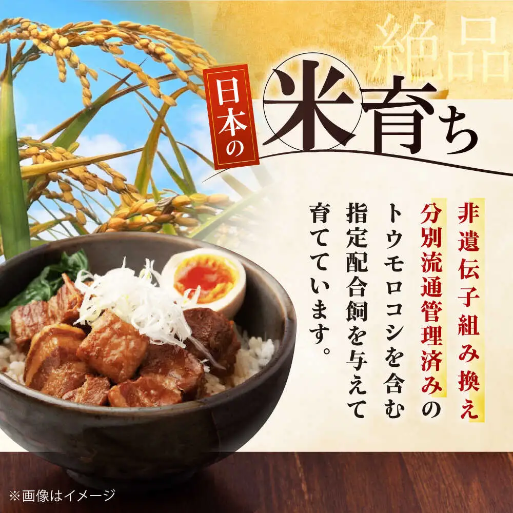 平田牧場 ロース ブロック 600g 角煮 豚肉 加工品  [AJAP070]