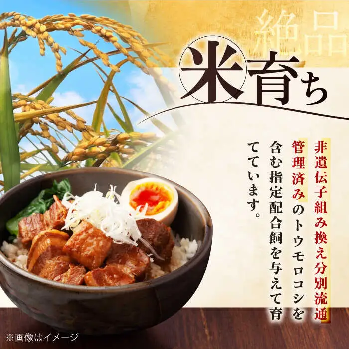 平田牧場 バラ ブロック1.2kg (600g×2P)  バラ 豚肉 国産 北海道 [AJAP073]