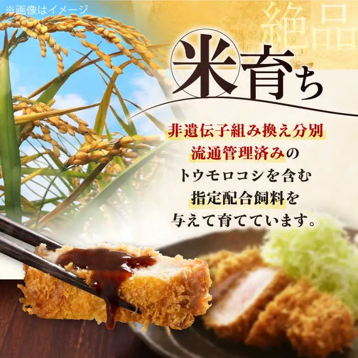【全6回定期便】平田牧場 ロース ステーキ 600g  (100g×6枚) ※藻塩ナシ 豚肉 とんかつ 生姜焼き[AJAP088]