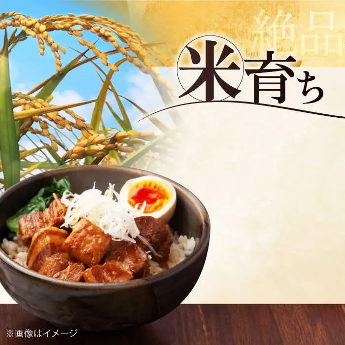 【全2回定期便】平田牧場 肩ロース ブロック 600g 豚肉 煮豚 [AJAP110]