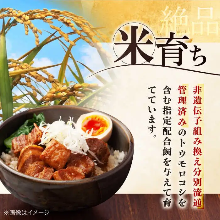 【全3回定期便】平田牧場 肩ロース ブロック 600g 豚肉 煮豚 [AJAP111]