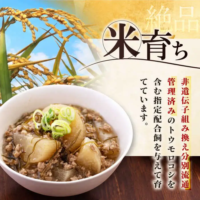 【全12回定期便】平田牧場 ひき肉 600g  豚肉 餃子 つくね [AJAP121]