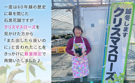 北海道芦別市 石黒花園 クリスマスローズ ダブル 5鉢 色・形おまかせ