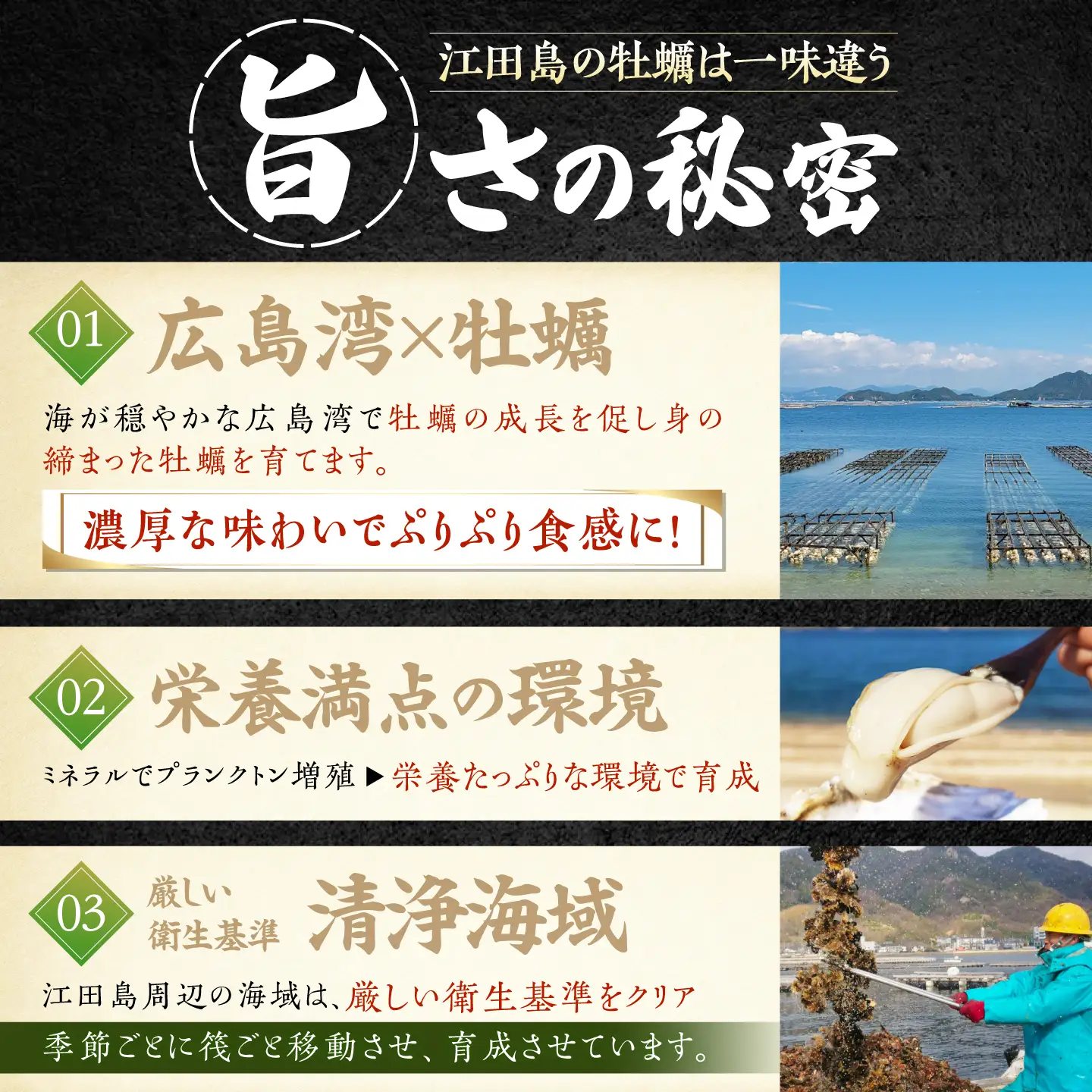 冷凍牡蠣 殻付き3kg 牡蠣[XAO030]