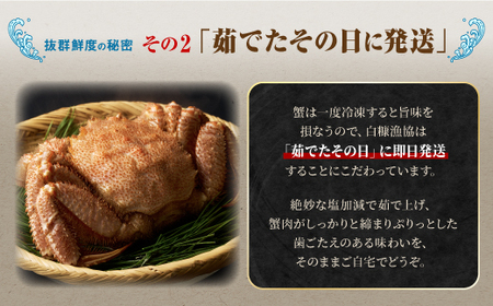 しらぬか産 茹でたて中サイズ毛がに【450g以上】_I055-0563