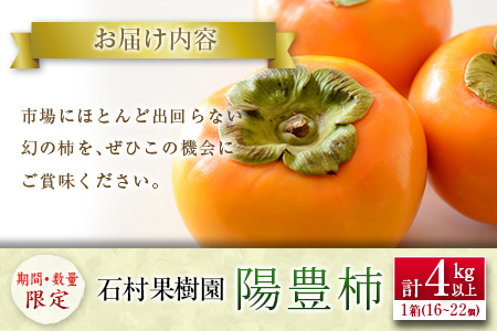 ＜期間・数量限定＞石村果樹園の『陽豊柿(ようほうがき)』計4kg以上 宮崎県新富町産 くだもの デザート【B624-26】