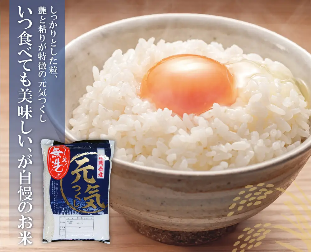 Z17-01 無洗米 福岡ブランド米3品種セット(各2kg) ヒノヒカリ 夢つくし 元気つくし