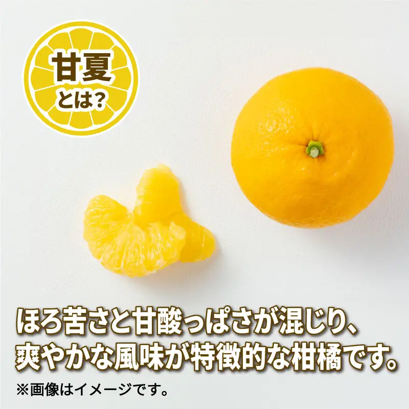 愛媛みかん 訳あり 河内晩柑 約 4kg 甘夏 約 4kg セット ワールドファーマーズ わけあり 先行予約 かわちばんかん あまなつ 愛媛蜜柑 愛媛ミカン 訳あり品 みかん mikan 果物 くだもの フルーツ 柑橘 蜜柑 産地直送 数量限定 愛媛県 国産 宇和島 B010-024027