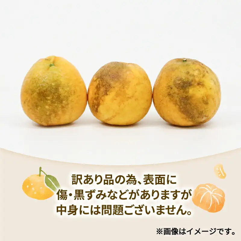 愛媛みかん 訳あり 柑橘 詰め合わせ セット 5kg ワールドファーマーズ わけあり 先行予約 愛媛蜜柑 愛媛ミカン 訳アリ 訳あり品 訳有り わけあり みかん mikan 果物 くだもの フルーツ 柑橘 蜜柑 産地直送 数量限定 愛媛 国産 宇和島 B010-024028