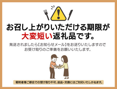 【先行予約】≪浜茹で≫ 地物！天然！越前がに 生の状態で約800g～900g × 1杯【2026年11月中旬以降順次発送予定】かにスプーン付き はるか丸厳選！獲れたて！茹でたてをお届けします！[m36-x003_11]