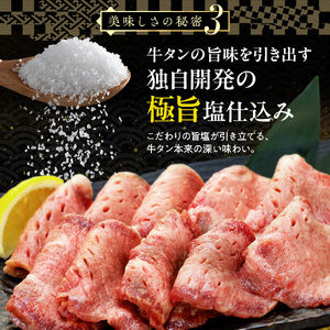 牛タン 塩味 厚切り牛タン 750g 【KSD】
