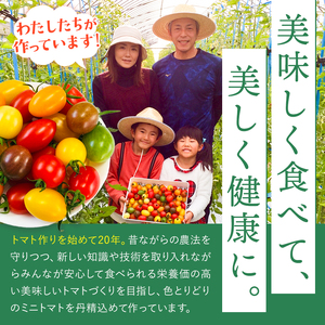 【 定期便 2回 】ミニトマト アイコ 約3kg | サザキ農園