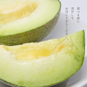 【2027年先行予約】真岡市産 タカミメロン 3L 1玉 化粧箱入り | メロン 果物 フルーツ 
