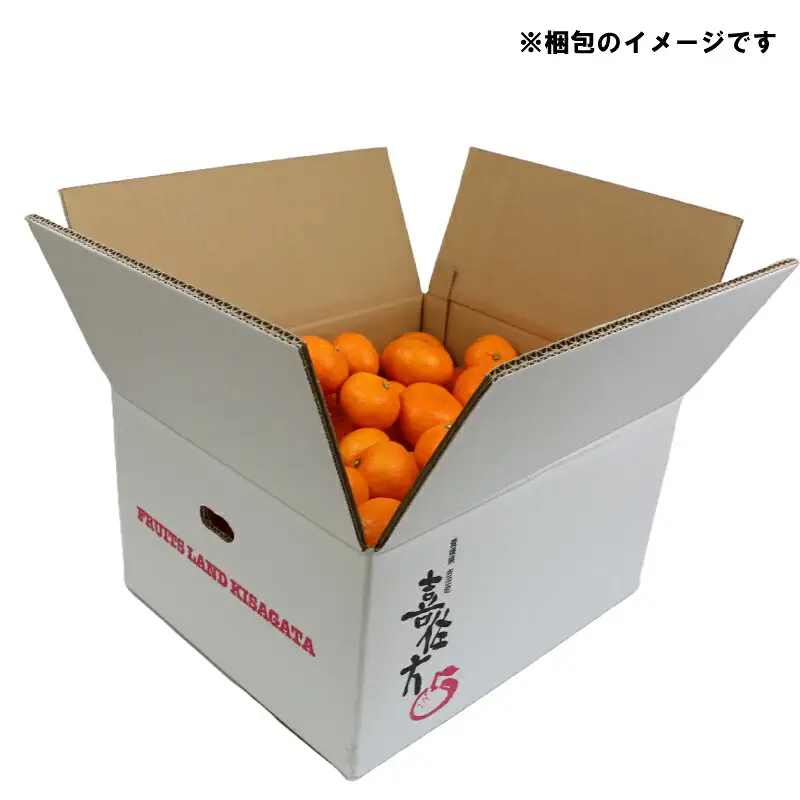 みかん 石地温州10kg家庭用 兵頭農園 愛媛みかん愛媛みかん B015-055005