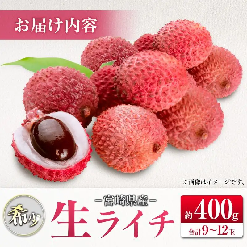 ＜2027年発送＞希少！宮崎県産 生ライチ 計約400g