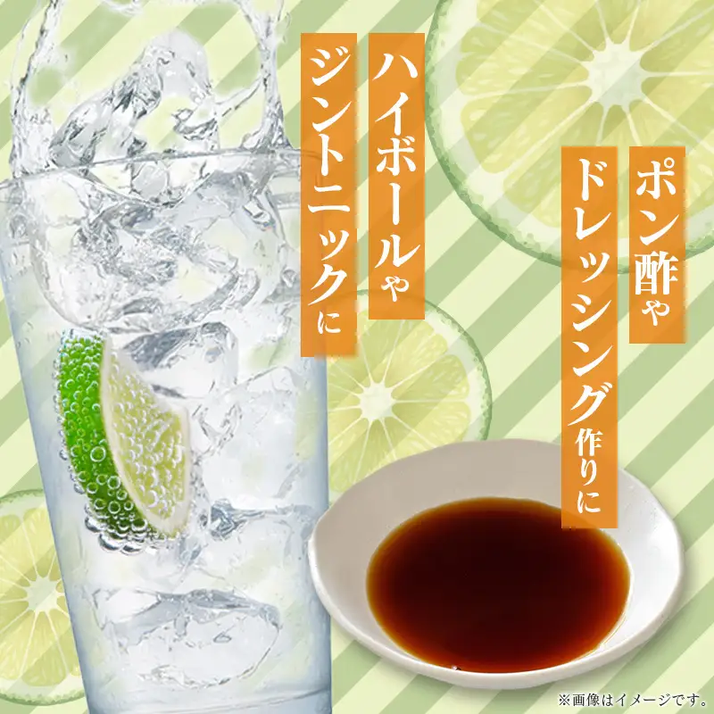 ＜2027年発送＞へべす 約1kg 宮崎県産