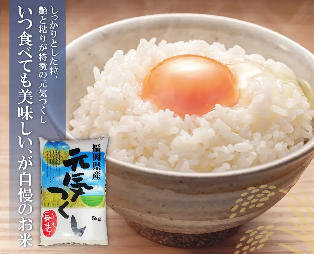 Z17-02 無洗米 福岡ブランド米3品種セット(各5kg)  ヒノヒカリ 夢つくし 元気つくし 米