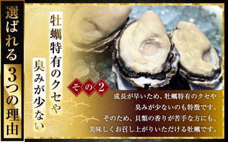 坂越かき 殻付き54個【ナイフなし】 牡蠣 カキ 海鮮 貝【2027年1月以降発送予定】