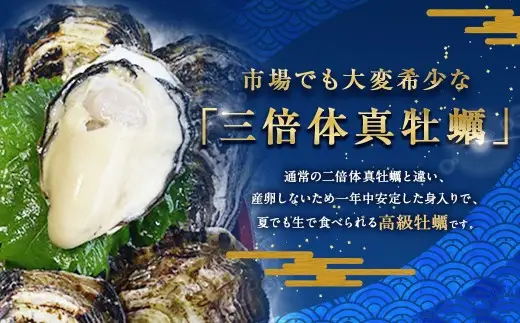 生食用 真牡蠣「ぷりみ」約1kg かき 牡蠣