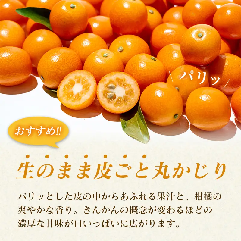 ＜2027年発送＞完熟きんかん「たまたまエクセレント」 糖度18度以上 約1kg 宮崎県産