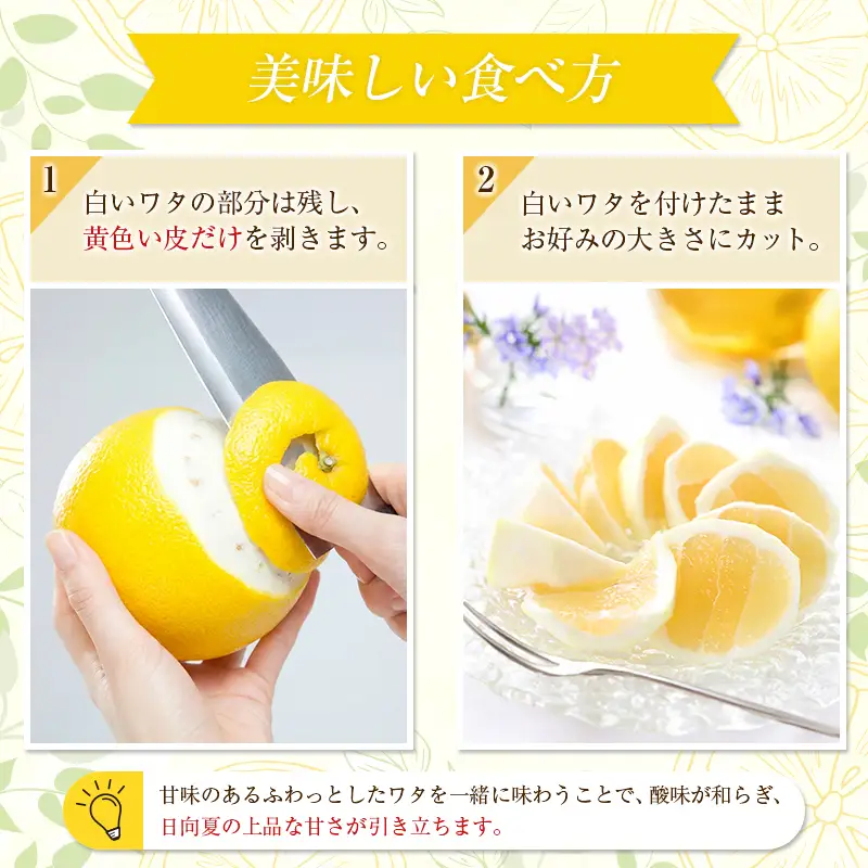 ＜2027年発送＞宮崎県産 ハウス日向夏 約2.5kg（9～15玉入）