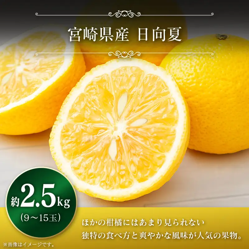 ＜2027年発送＞みやざきブランドセット（完熟きんかん たまたま・日向夏） 宮崎県産