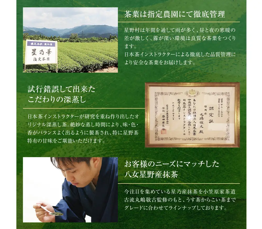 Z26-11 八女星野 深蒸し茶(6本詰め)  緑茶