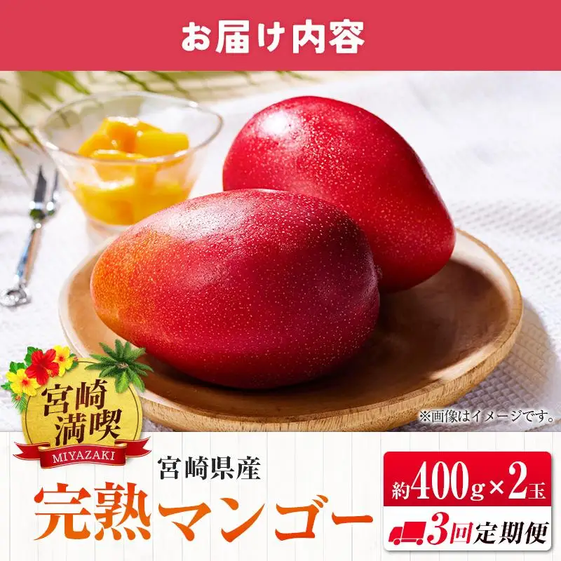 ＜2027年発送＞定期便 完熟マンゴー 約400g×2玉 全3回