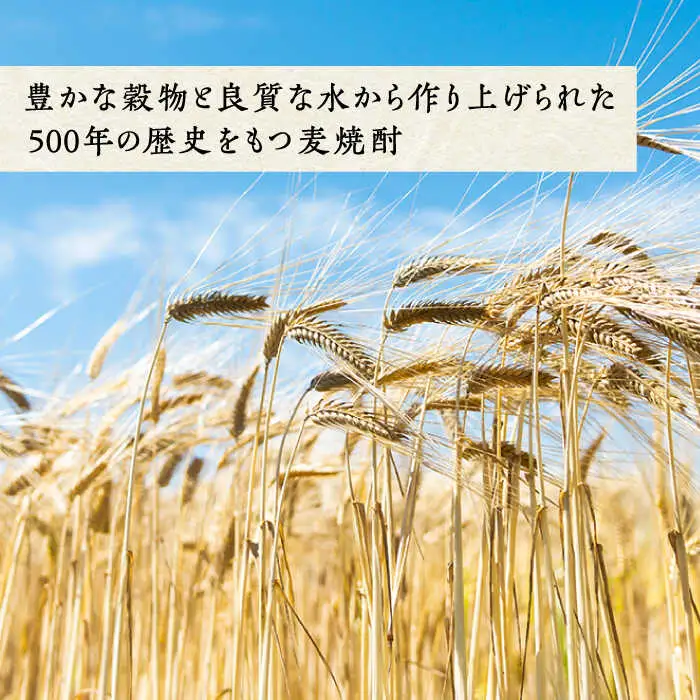 【全2回定期便】至高 麦焼酎 3種 飲み比べ セット 紙パック 25度 900ml×3本《壱岐市》【下久商店株式会社】 酒 焼酎 むぎ焼酎 壱岐っ娘 壱岐の華 [JBZ075]