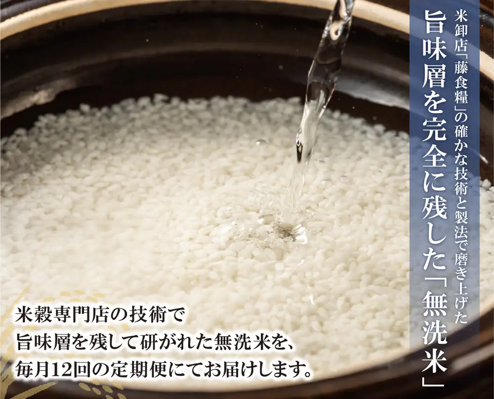 Z17-86 無洗米 元気つくし10kg定期便(毎月・年12回)