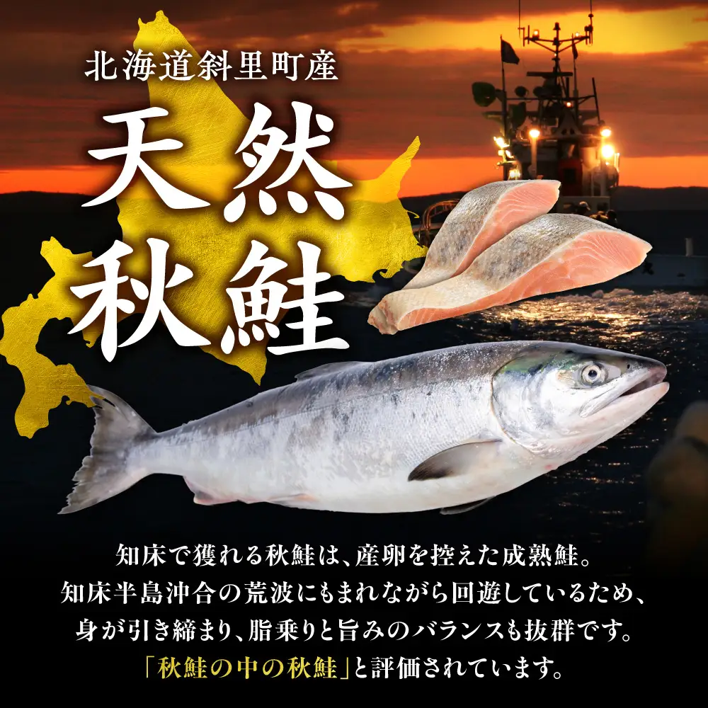 訳あり 国産鮭 約3kg  鮭