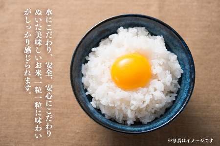 ＜定期便4回＞ 米 10kg 《 新米 新潟県産 コシヒカリ 》 令和8年産 奥阿賀 仁一郎 5kg×2袋 | こしひかり 白米 精米 送料無料 お取り寄せ お米 ※2026年9月下旬頃より順次発送