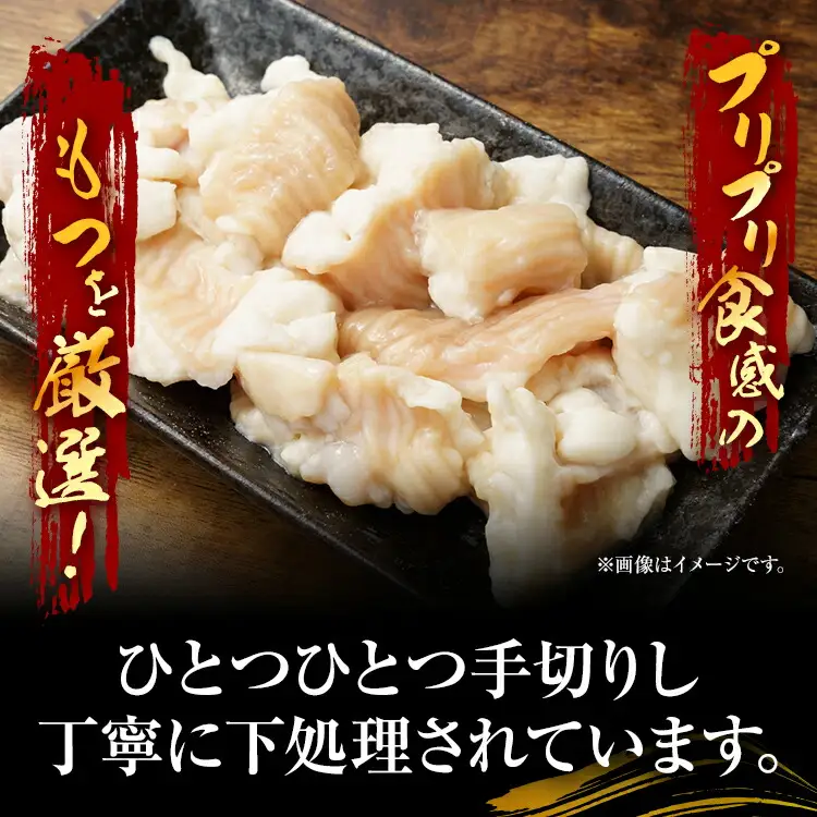 【訳あり】 博多味噌もつ鍋 10人前（2人前×5セット） MEAT PLUS CP048