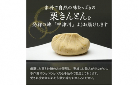 中津川銘菓：栗きんとん26個（10個入×2箱+6個入×1箱）[秋季限定] 信玄堂 【12月お届け】 F4N-2884
