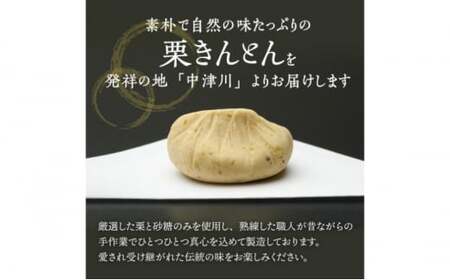 中津川銘菓：栗きんとん26個（10個入×2箱+6個入×1箱）[秋季限定] 信玄堂 【2027年1月お届け】 F4N-2885