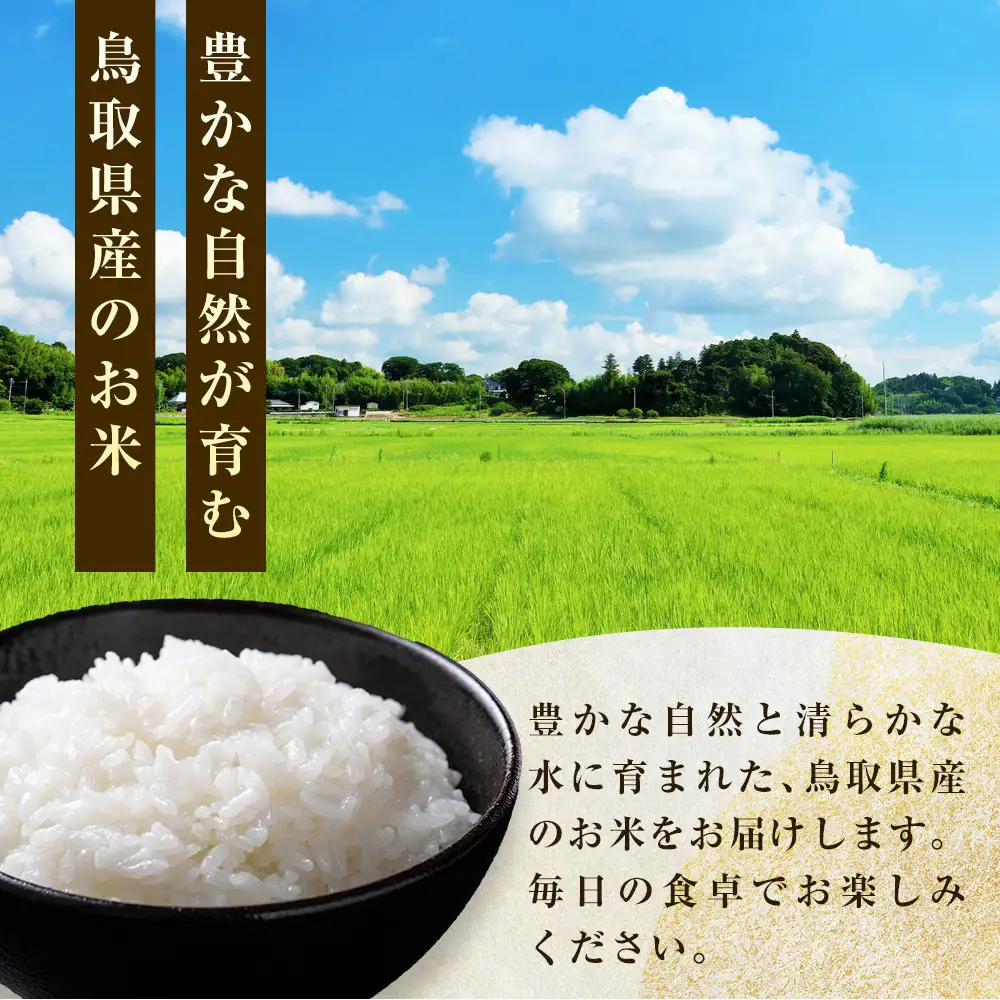 米 コシヒカリ 令和7年産 鳥取県産 3kg コシヒカリ