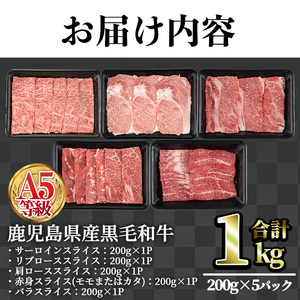 A5 等級 鹿児島県産 黒毛和牛 スライス 食べ比べ(合計1kg・200g×5種類)【LRプラスK】A494-v01