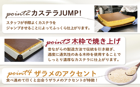 ココテラスのましかくカステラ（4個）3つセット 和菓子 カステラ 焼き菓子 ザラメ 子どものおやつ おやつ 卵 ティータイム 小分け 個包装 ギフト プチギフト プレゼント 贈り物 グルメ 手土産 こだわりスイーツ デザート お取り寄せ 愛知県 常滑市