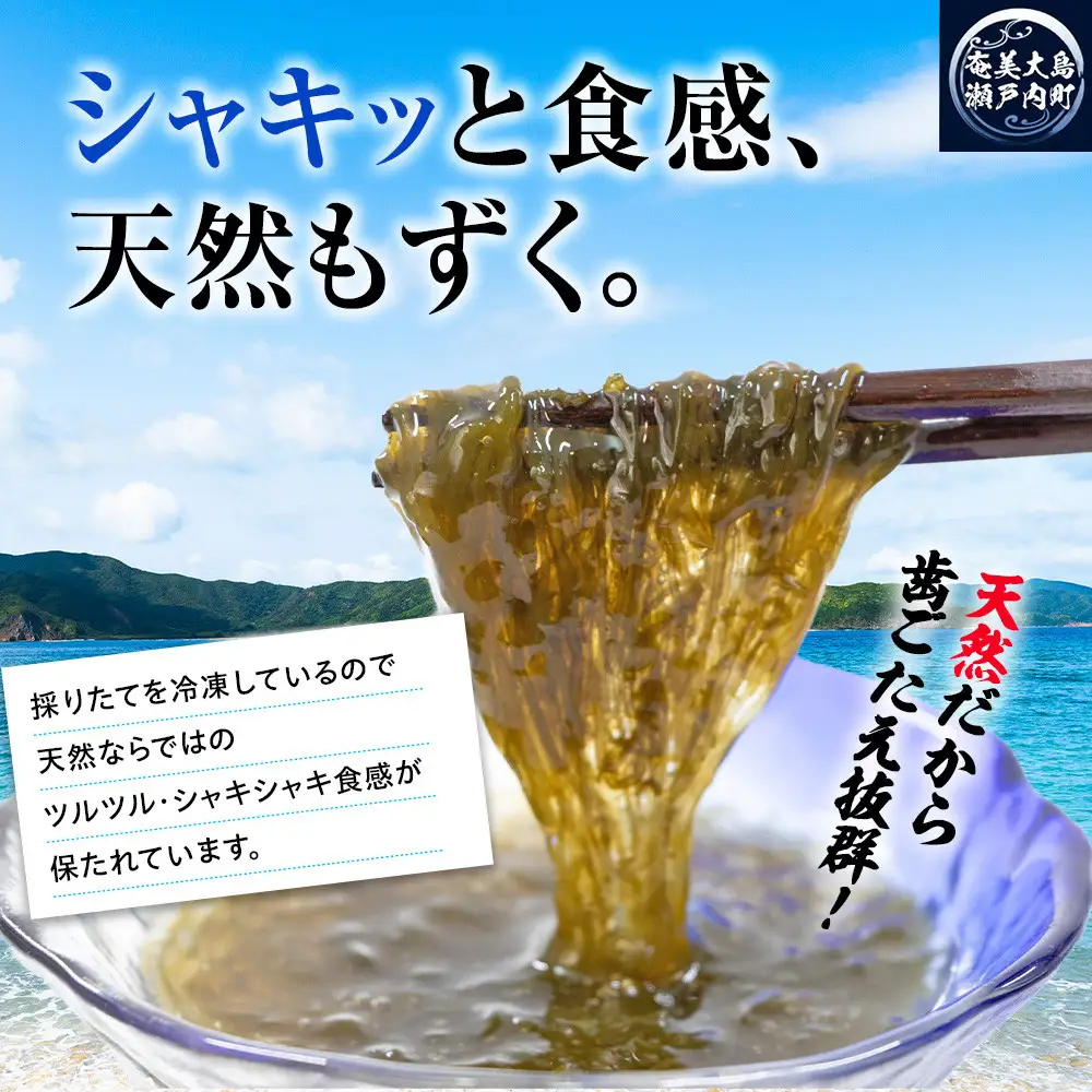 奄美大島瀬戸内町産　手摘み天然もずく 1Kg