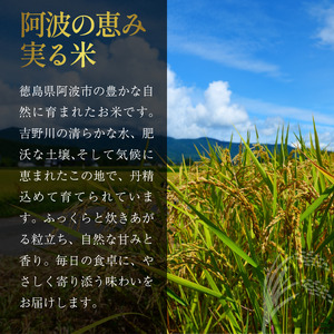もち米 5kg 令和8年産 もち米