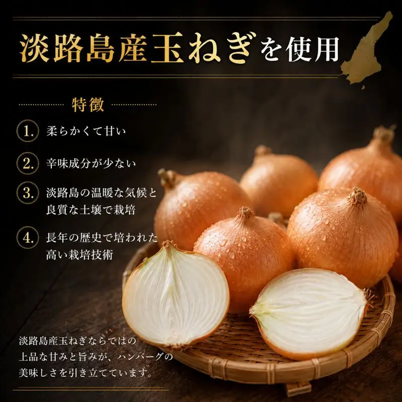 高評価★4.8 御礼！ 保存料不使用 ハンバーグ 個包装 2.4kg ギフト お歳暮 大判ハンバーグ