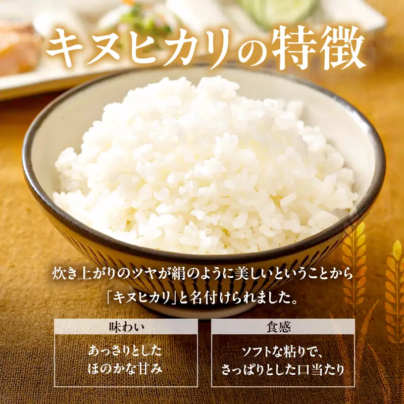米 令和7年産 有機 ・ 減農薬栽培米 キヌヒカリ 白米 4kg（2kg×2） お米 精米 単一品種 単一原料米 国産 兵庫県産