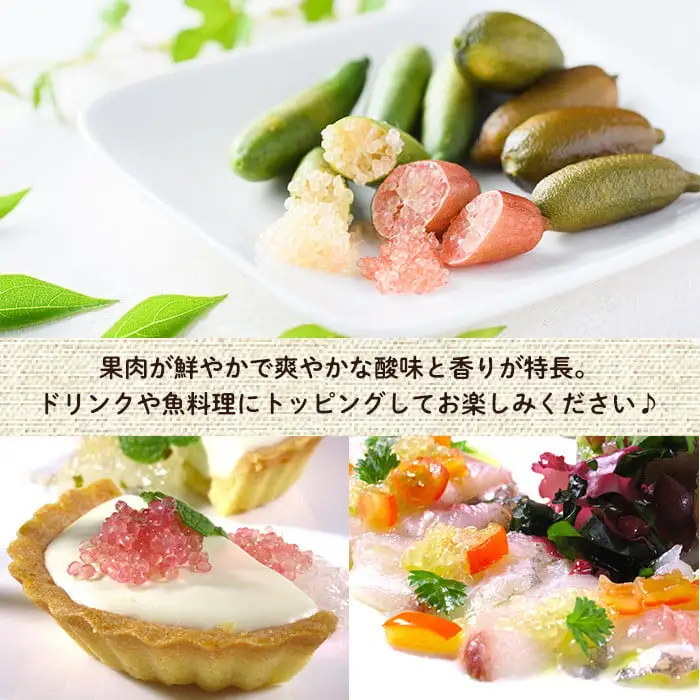 ＜先行予約受付中！2026年10月から順次発送予定＞＜数量限定・期間限定＞宮崎県門川町産フィンガーライム(160g) 柑橘  高校生【AU-2】【宮崎県立門川高等学校】