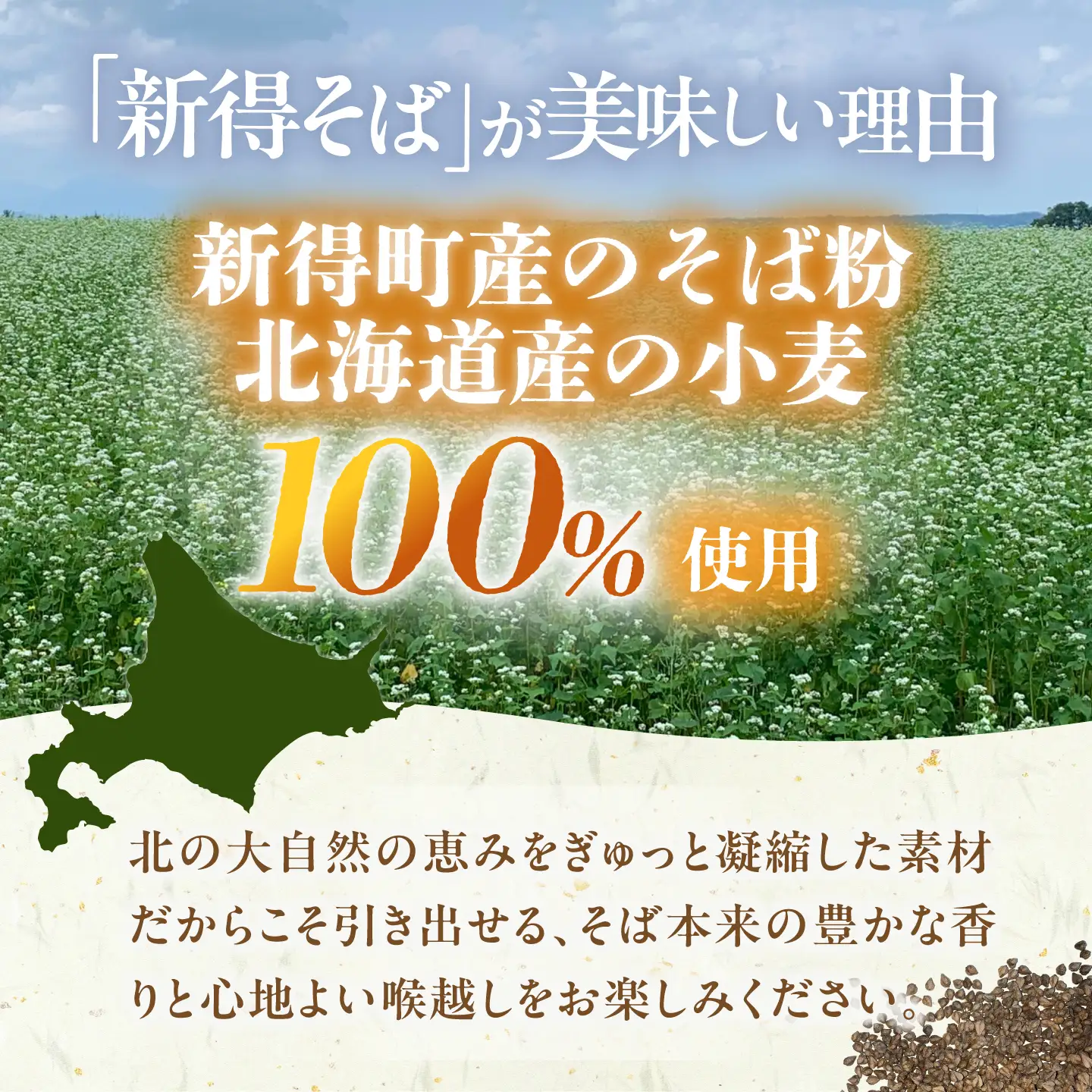 新得 半生そば＆つゆセット 12食 | 新得物産株式会社 [BNBE002]