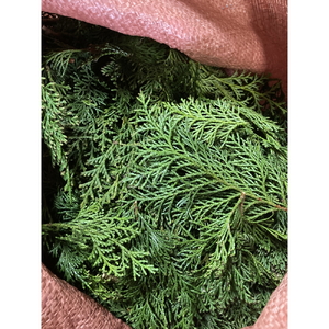 丹波篠山産間伐材使用　ヒノキ枝葉の精油とヒノキ木部スプレーセット 