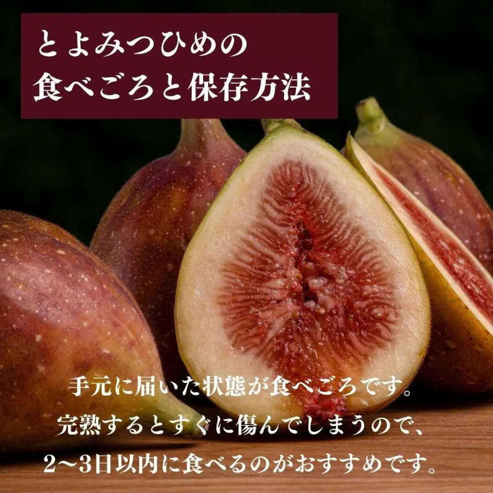 【2026年9月下旬より順次発送】福岡県産 とよみつ姫 約1.2kg以上(約300g×4パック入り) うまうまもぐもぐ